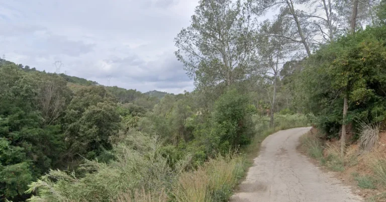 Ruta trail fácil desde Sant Climent de Llobregat 2025