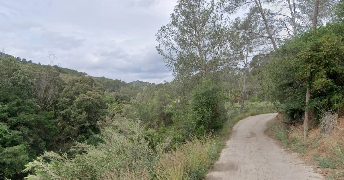 Ruta trail fácil desde Sant Climent de Llobregat 2025 Ruta trail fácil desde Sant Climent de Llobregat por el Parc del Garraf, pista ancha de tierra apta para maxitrail.
